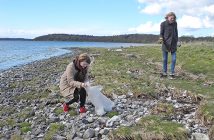 Frivillige fjerner fortsat skrald fra fjorden
