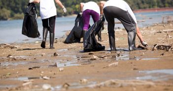 Få støtte til oprydning på stranden