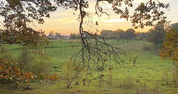 Forening ønsker mere natur i Frederikssund Kommune