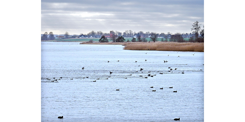 Selsø Møllekrog med Gershøj by og kirke i baggrunden Selsø Møllekrog med Gershøj by og kirke i baggrunden