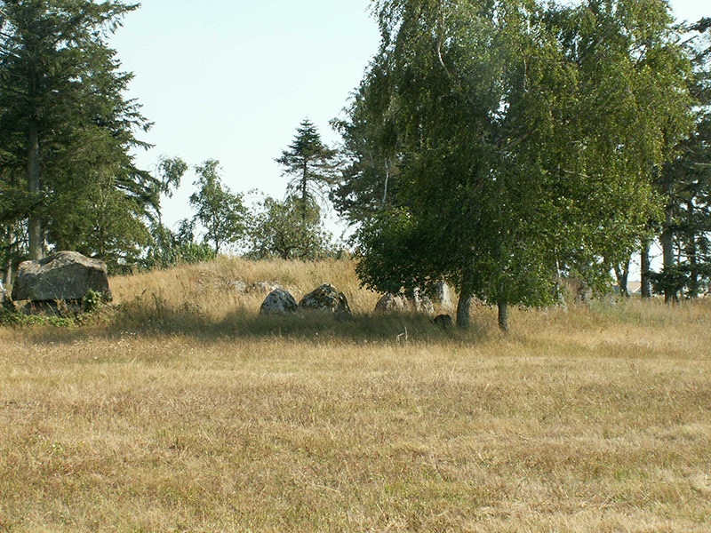 Silas Rune Granados (13 år) Onsved langdysse Silas Rune Granados (13 år) Onsved langdysse