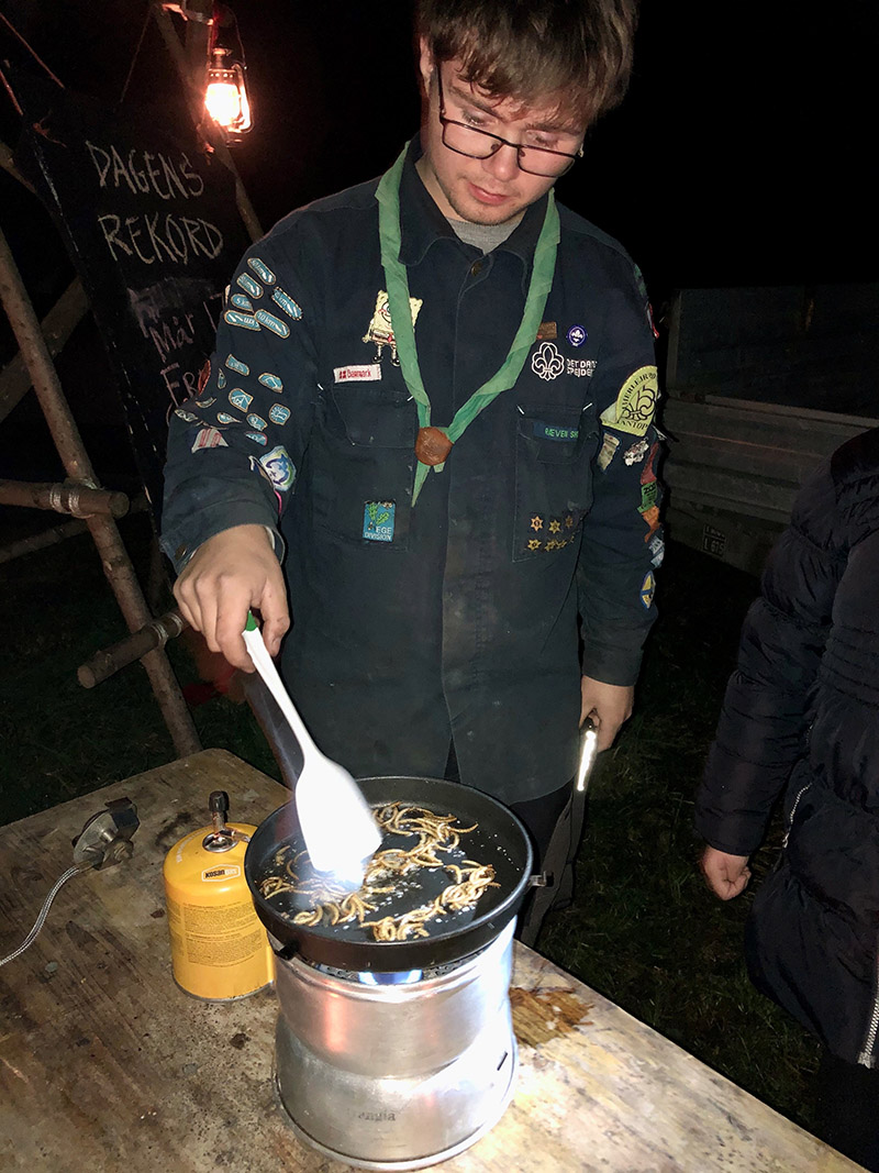natspejder natspejder
