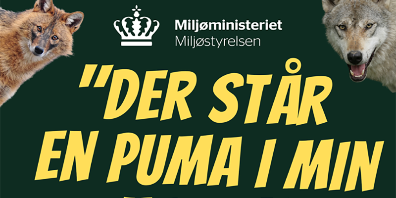 Podcast: Lever los og puma Danmark? – Hornsherred