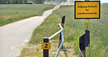 Pileurten skal væk