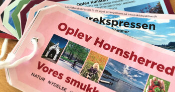 Læg mærke til oplevelser