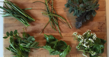 Smagfulde naturoplevelser i skov og have