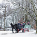 Traditionel jul med et lille nyt drys