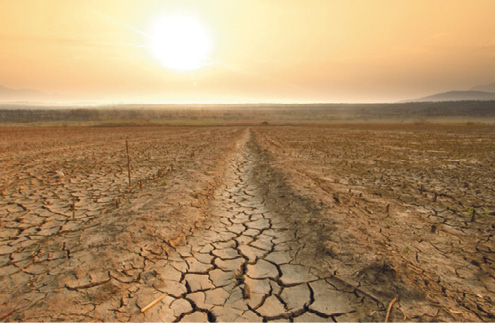 Vand i verden, vand i haven – vand i maven