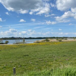 Pilgrimsvanding i Herredet