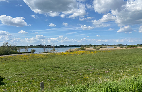 Pilgrimsvanding i Herredet